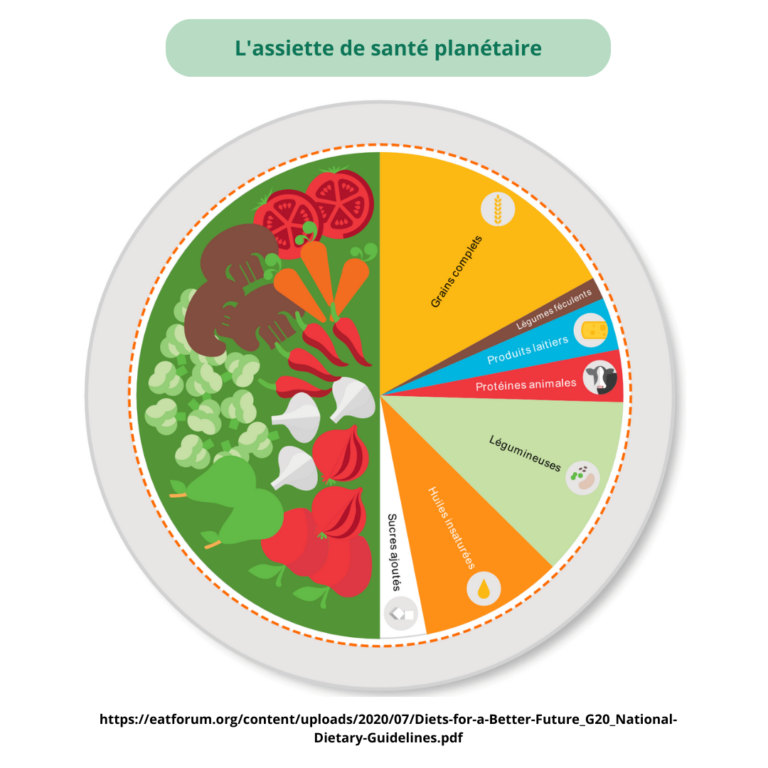 Zoom sur le régime de santé planétaire