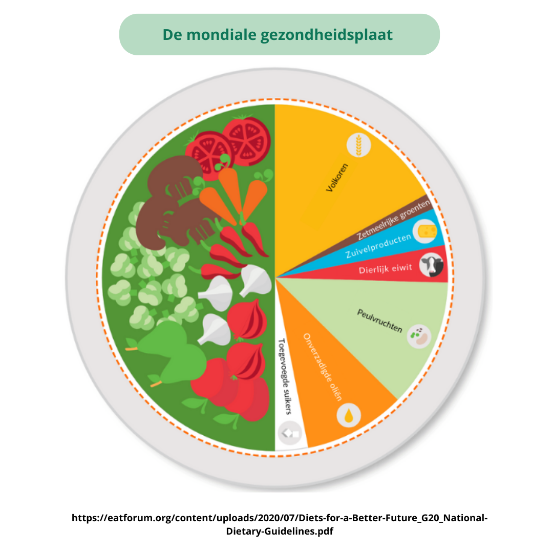 De mondiale gezondheidsplaat